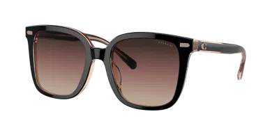 Coach Woman Sunglass Hc8381u Cl918 In Purple