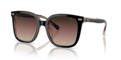 Coach Woman Sunglass Hc8381u Cl918 In Purple