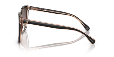 Coach Woman Sunglass Hc8381u Cl918 In Purple