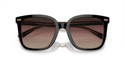 Coach Woman Sunglass Hc8381u Cl918 In Purple