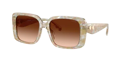 Coach Woman Sunglass Hc8424u Cad54 In Neutral