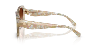 Coach Woman Sunglass Hc8424u Cad54 In Neutral