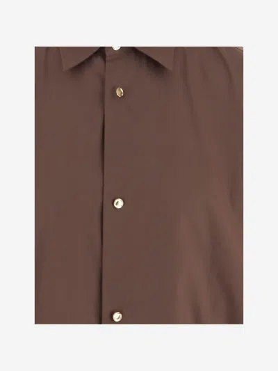 Darkpark Oversized Shirt In Stretch Cotton Blend In Brown