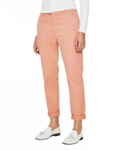 Ag Caden Tailored Trouser In Watermelon Sorbet In Multi