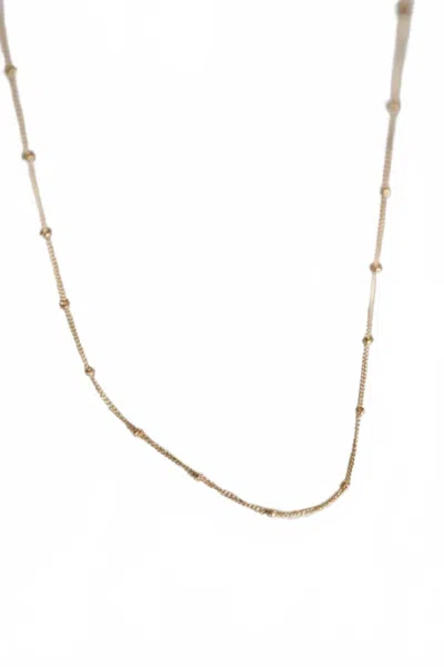 Katie Waltman Women's Gold Filled Satellite Cable Chain Necklace In Gold