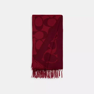 Coach Outlet Signature Oversized Muffler In Red