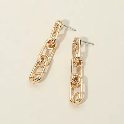 Fashnzfab Secret Box_14k Gold Dipped Chain Drop Earrings In Gold