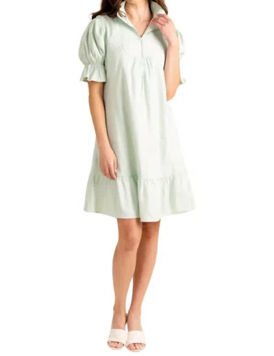 S'edge Erin Mini Dress In Mint In Multi