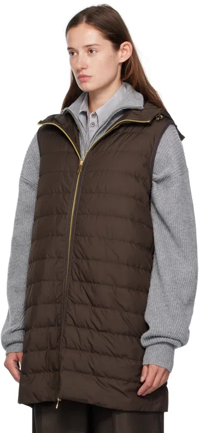 Moncler Brown Sainbel Long Down Parka In Green