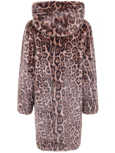 Betta Corradi Hooded Leopard Jacket In Brown