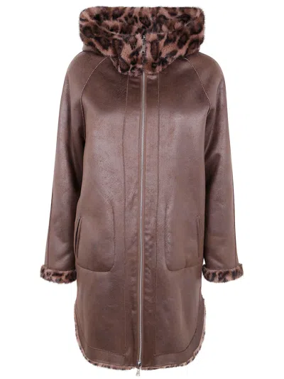 Betta Corradi Hooded Leopard Jacket In Brown