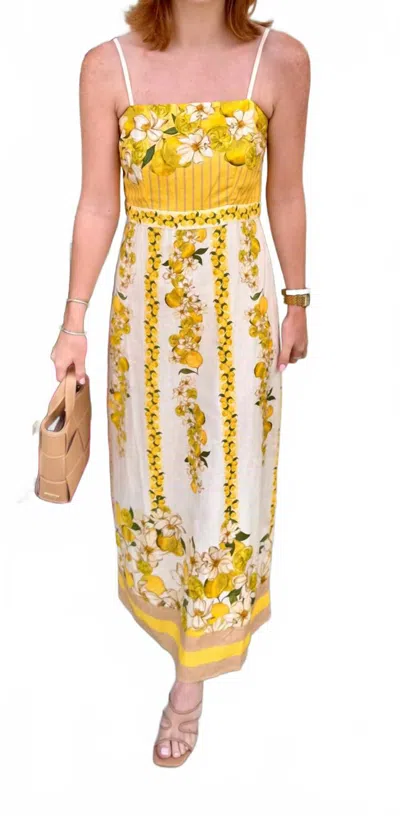 Anna Cate Laken Dress In Lemon Summer In Multi