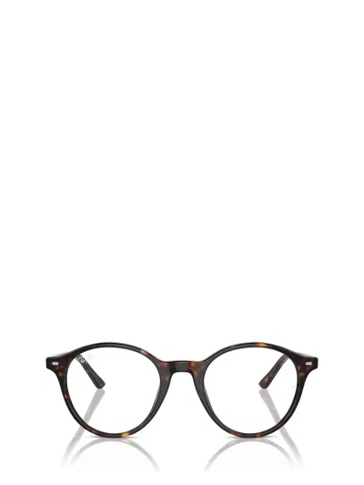 Ray Ban Ray-ban Eyeglasses In Brown