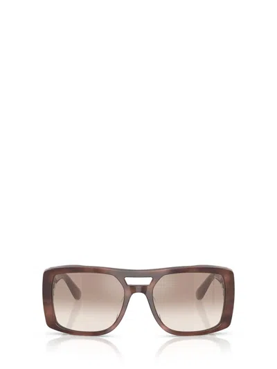 Brunello Cucinelli Bc4012s Square Acetate Sunglasses In Brown