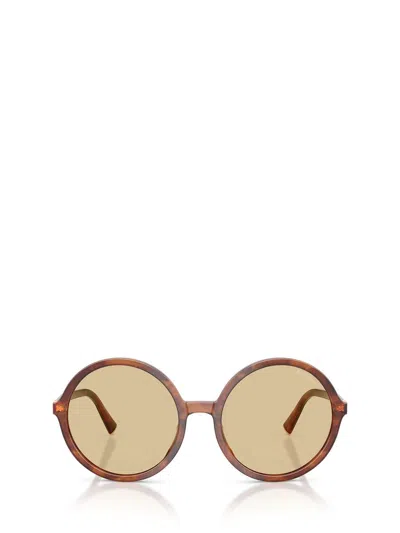 Miu Miu Round Frame Sunglasses In Brown