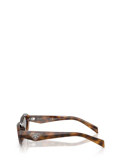 Prada Full Frame Sunglasses In Multi