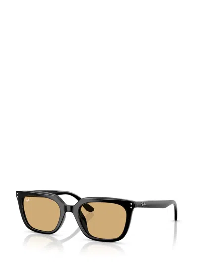 Ray Ban Ray-ban Sunglasses In Brown