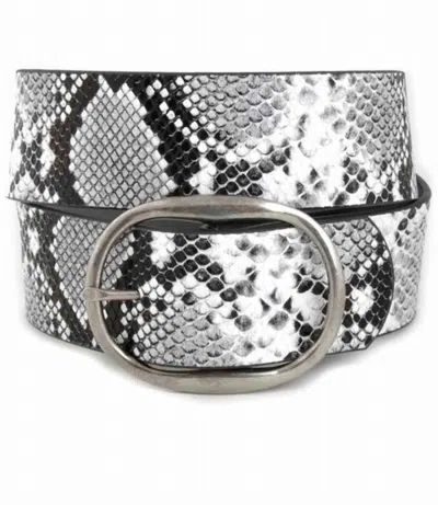 Anzell Women's Pam Oval Buckle Belt In Black Snake In Multi
