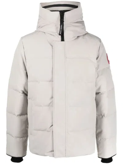 Canada Goose Limestone Macmillan Parka In Neutral