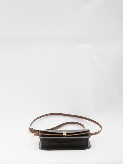 Celine Women Wallet On Chain Crossbody Bag In Black