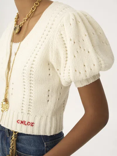 Chloé Chloe Pointelle Wool And Cashmere Cardigan In Multi