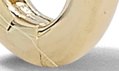 Ember Fine Jewelry Elongated Hoop Earrings In Gold