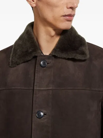 Zegna Shearling-collar Suede Coat In Brown