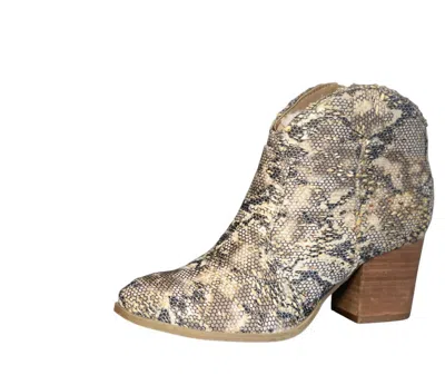 Gypsy Jazz Women's Sprinkle Bootie In Multi In Multi