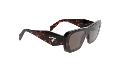 Prada Full Frame Sunglasses In Brown