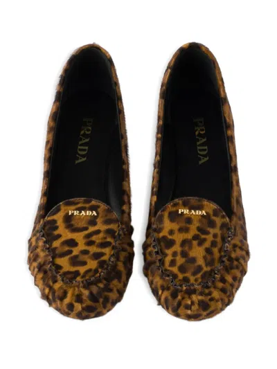 Prada Printed Leather Loafers In Multi