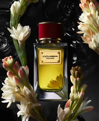 Dolce & Gabbana 3-pc. Velvet Collection Eau De Parfum Set, 0.33 Oz. In Multi