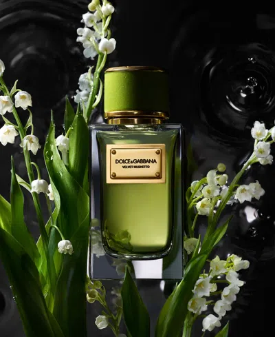 Dolce & Gabbana 7-pc. Velvet Collection Eau De Parfum Set, 0.068 Oz. In Multi