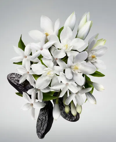 Carolina Herrera Good Girl Bowtastic Collector's Edition Eau De Parfum 2.7/80 Eau De Parfum Spray In Transparent