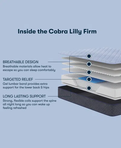 Serta Perfect Sleeper Cobra Lily 10.5 Plush Tight Top Mattress Collection In Transparent