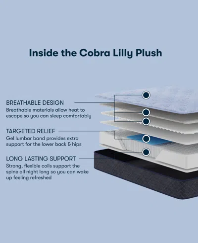 Serta Perfect Sleeper Cobra Lily 10.5 Plush Tight Top Mattress Collection In Multi