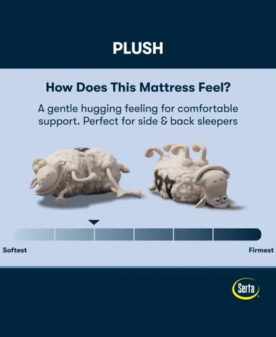 Serta Perfect Sleeper Cobra Lily 10.5 Plush Tight Top Mattress Collection In Transparent