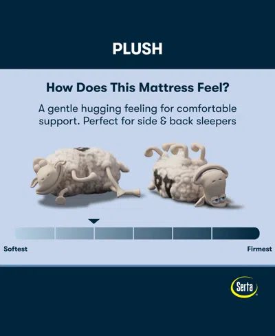 Serta Perfect Sleeper Cobra Lily 10.5 Plush Tight Top Mattress Collection In Transparent