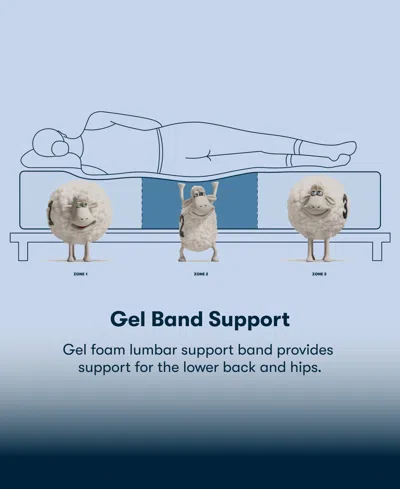 Serta Perfect Sleeper Iceland Poppy 13" Plush Tight Top Mattress Set, Twin Xl In Blue