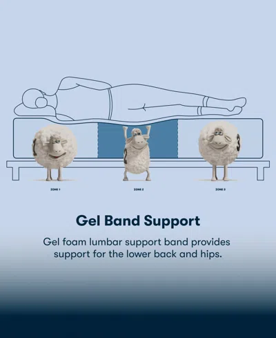 Serta Perfect Sleeper Iceland Poppy 13" Plush Tight Top Mattress Set, Twin Xl In Blue