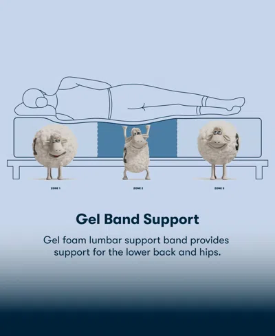 Serta Perfect Sleeper Iceland Poppy 13" Plush Tight Top Mattress Set, Twin Xl In Blue