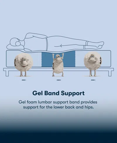 Serta Perfect Sleeper Iceland Poppy 13" Plush Tight Top Mattress Set, Twin Xl In Transparent