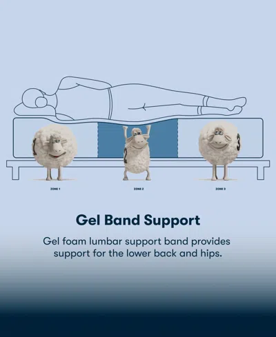 Serta Perfect Sleeper Iceland Poppy 13" Plush Tight Top Mattress Set, Twin Xl In Blue