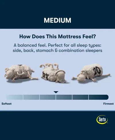 Serta Perfect Sleeper Iceland Poppy 13.5" Medium Tight Top Mattress Set, Queen Split In Transparent