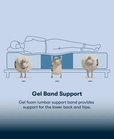 Serta Perfect Sleeper Iceland Poppy 13" Plush Tight Top Mattress Set, Twin Xl In Blue