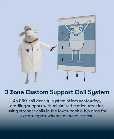 Serta Perfect Sleeper Iceland Poppy 13.5" Medium Tight Top Mattress Set, Queen Split In Transparent