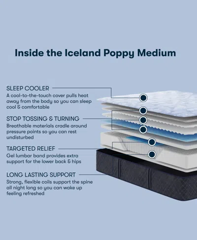 Serta Perfect Sleeper Iceland Poppy 13.5" Medium Tight Top Mattress Set, Queen Split In Transparent