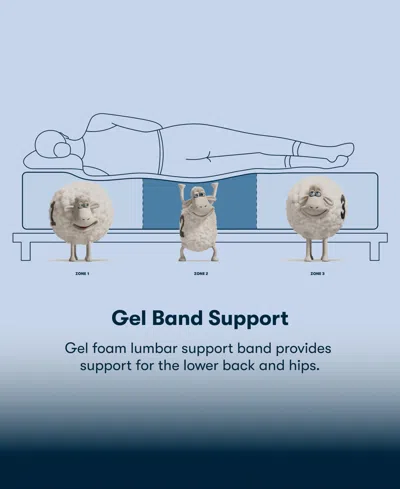 Serta Perfect Sleeper Iceland Poppy 13.5" Medium Tight Top Mattress Set, Queen Split In Transparent