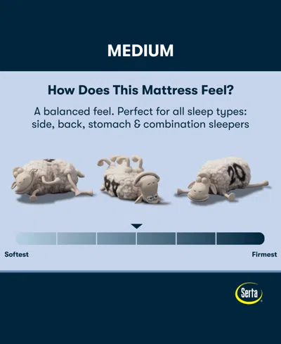 Serta Perfect Sleeper Iceland Poppy 13.5" Medium Tight Top Mattress Set, Queen Split In Transparent