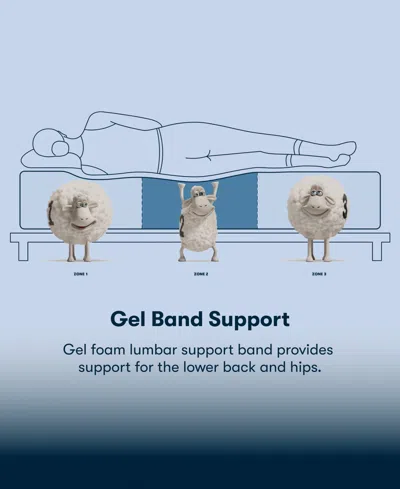 Serta Perfect Sleeper Iceland Poppy 13" Plush Tight Top Mattress Set, Twin Xl In Blue