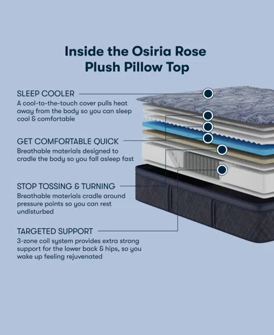 Serta Perfect Sleeper Osiria Rose 15" Plush Pillow Top Mattress Set, Queen In Gray